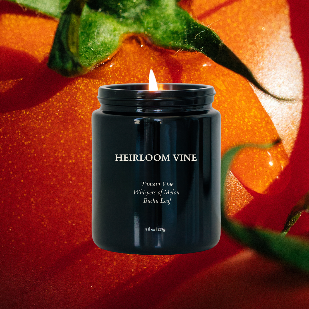 Heirloom Vine  - Non-Toxic Candle