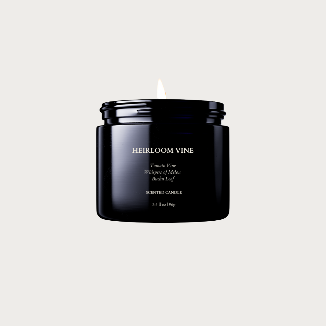 HEIRLOOM VINE Non-Toxic Candle – ONYX + PETAL HEIRLOOM VINE Non-Toxic Candle – ONYX + PETAL