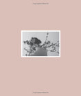 Load image into Gallery viewer, Wild Sweetness
