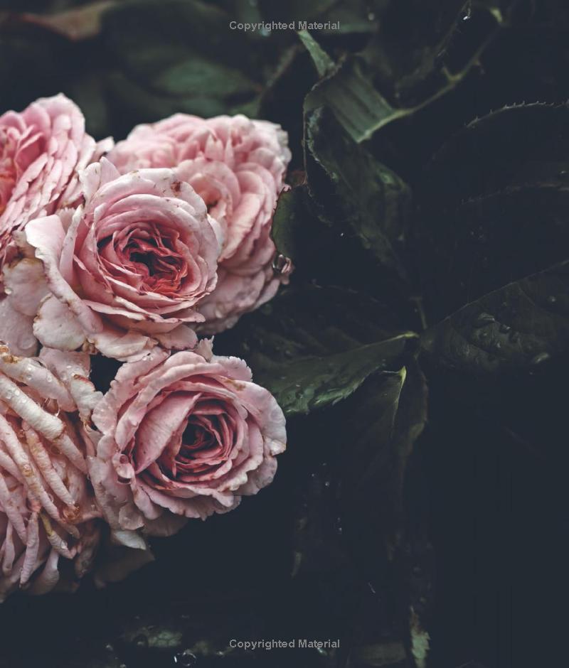 Wild Sweetness